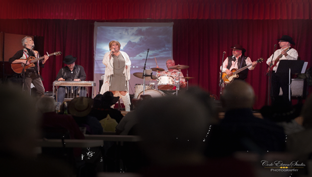 Fabulous Silver Wings